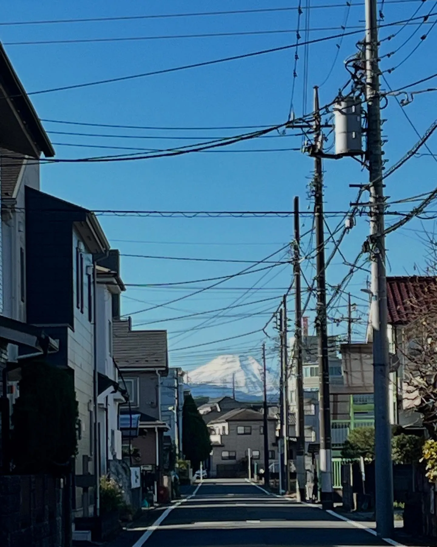 【富士山　ルームツアー　八王子市】