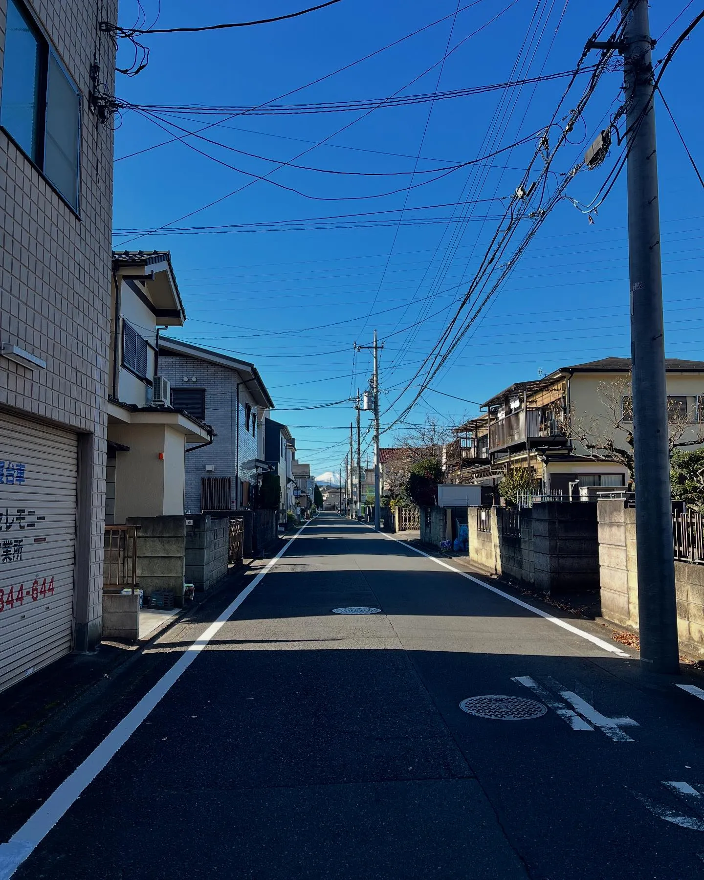 【富士山　ルームツアー　八王子市】