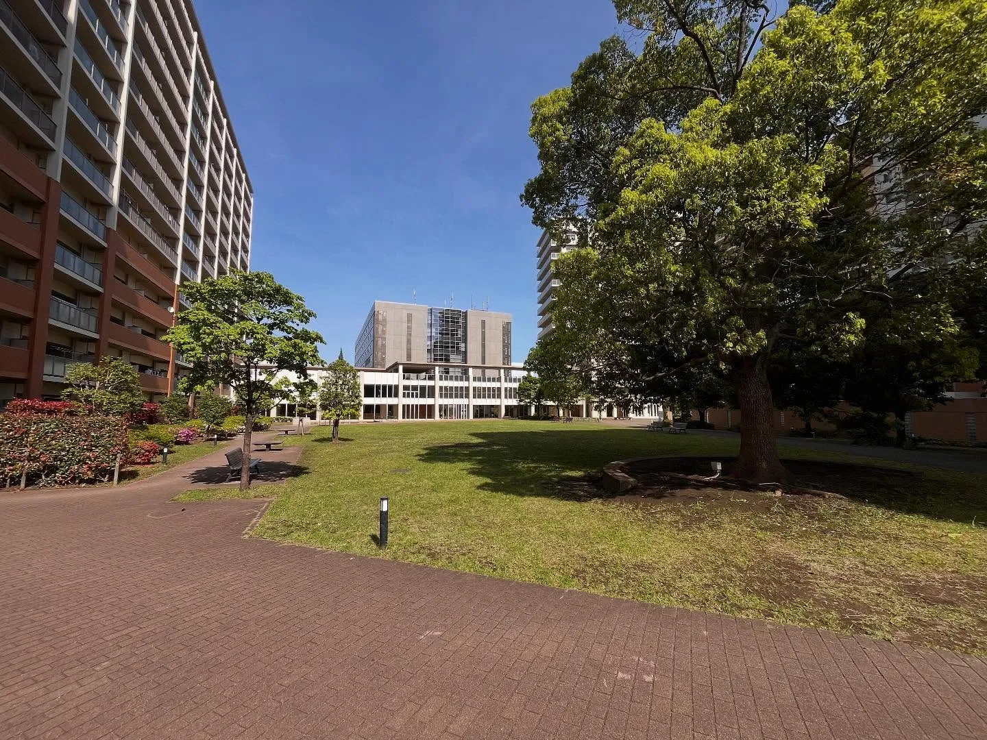 【日野市 マンション リフォーム済】